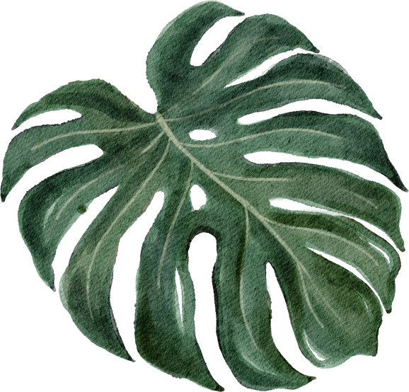 Tropical Leaves Element